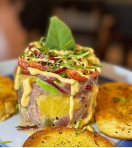 Kokos Gastro Jaco